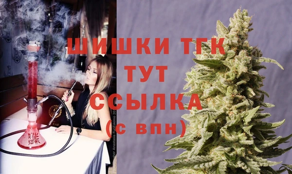 гидра Дмитриев