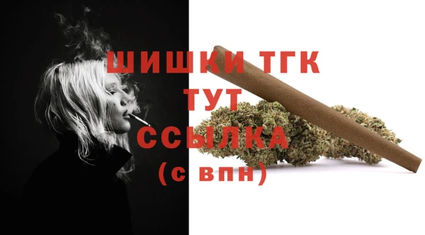 гидра Дмитриев