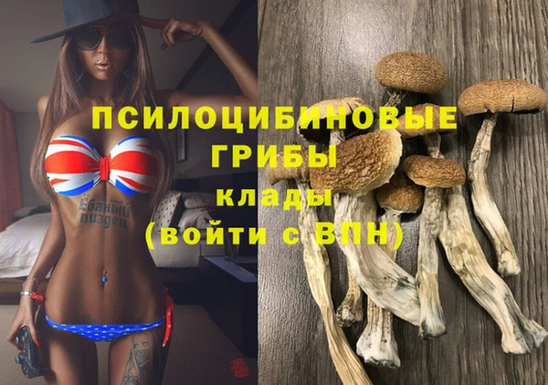 мдпв Дмитровск