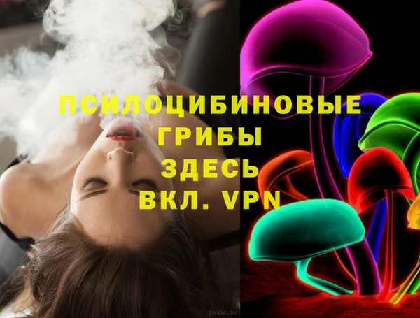 гидра Дмитриев