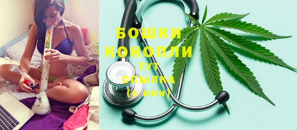 мдпв Дмитровск