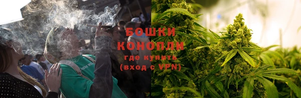 гидра Дмитриев