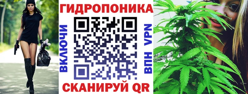 Каннабис VHQ  Купить где  Карабаш 